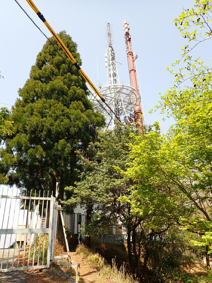 P5024953_mid.jpg
