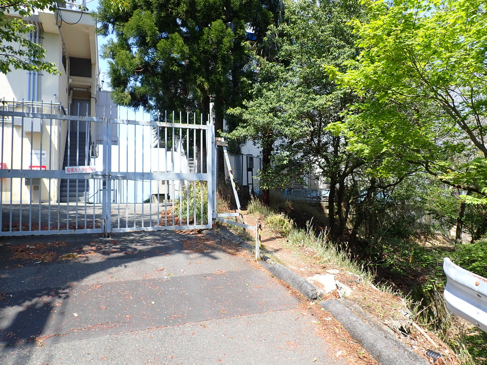 P5024954_mid.jpg
