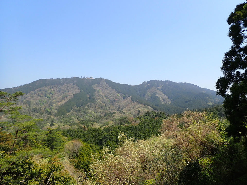 P5024957_mid.jpg