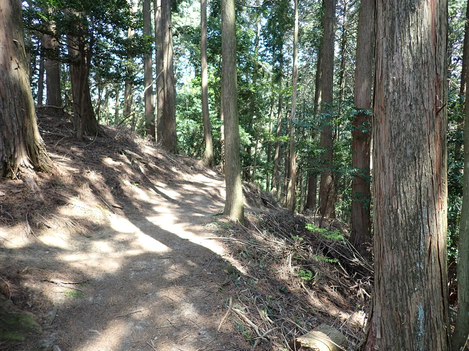 P5024995_mid.jpg