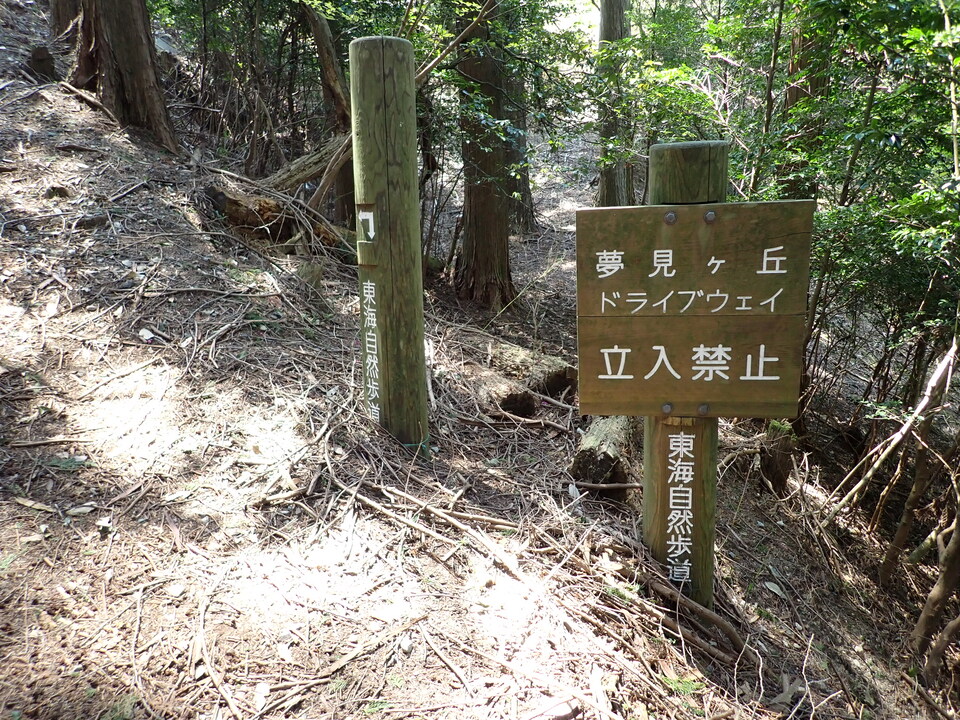 P5025029_mid.jpg