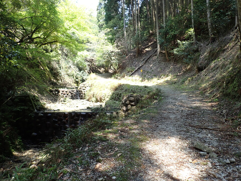 P5025082_mid.jpg