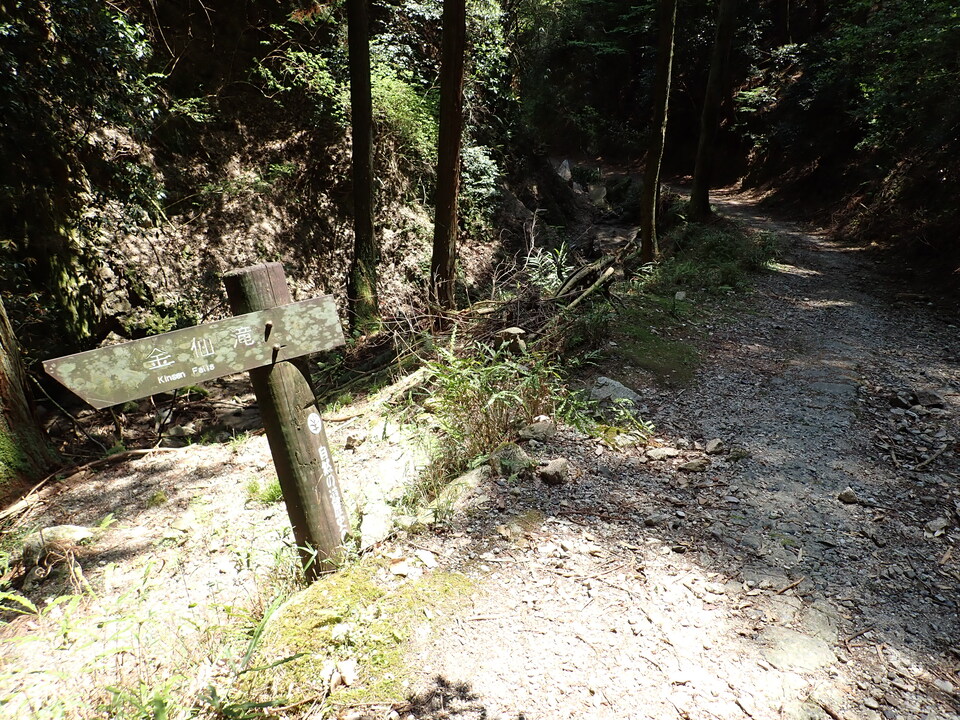 P5025114_mid.jpg