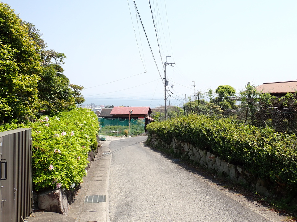 P5025139_mid.jpg
