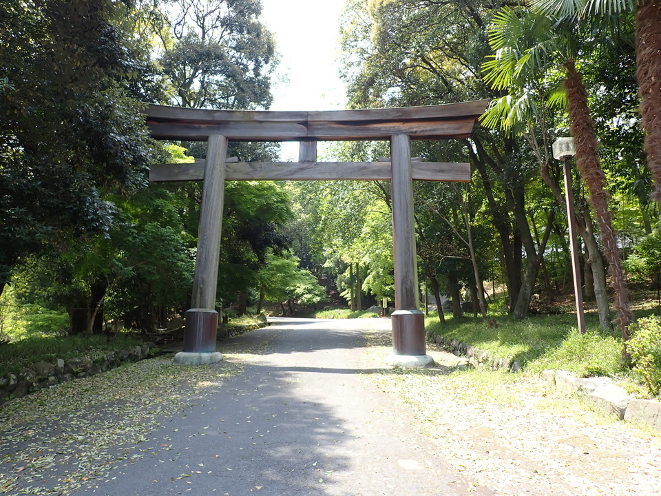 P5025168_mid.jpg