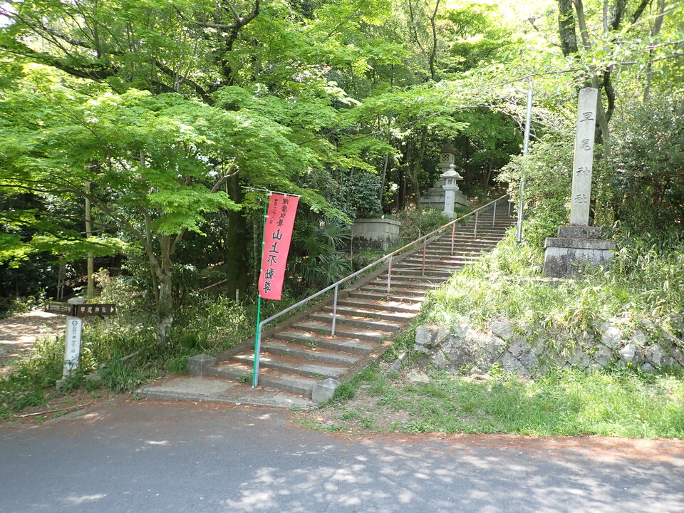 P5025190_mid.jpg
