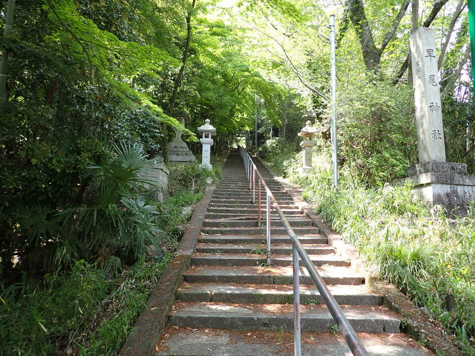 P5025191_mid.jpg