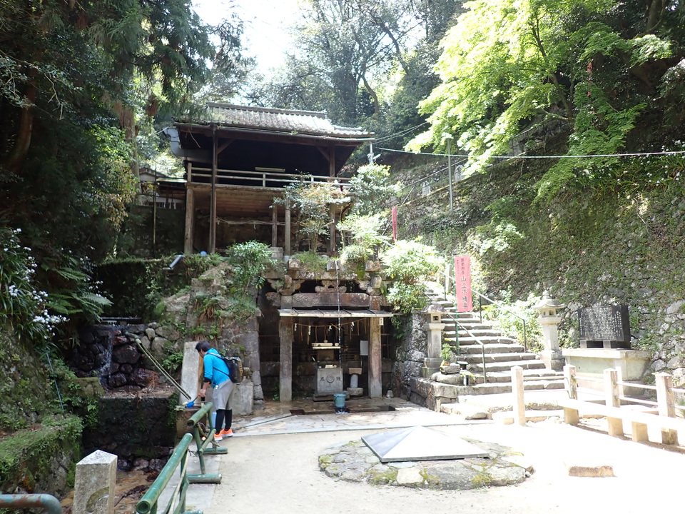 P5025199_mid.jpg