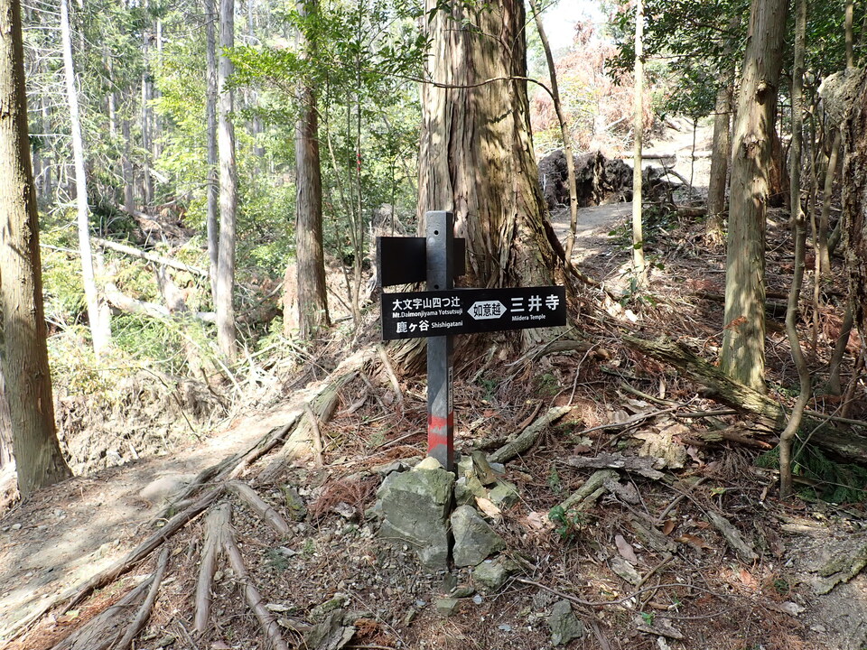 P5025316_mid.jpg