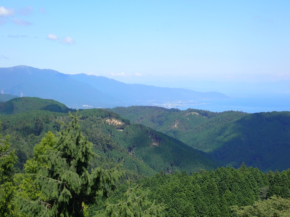 P9216119_mid.jpg