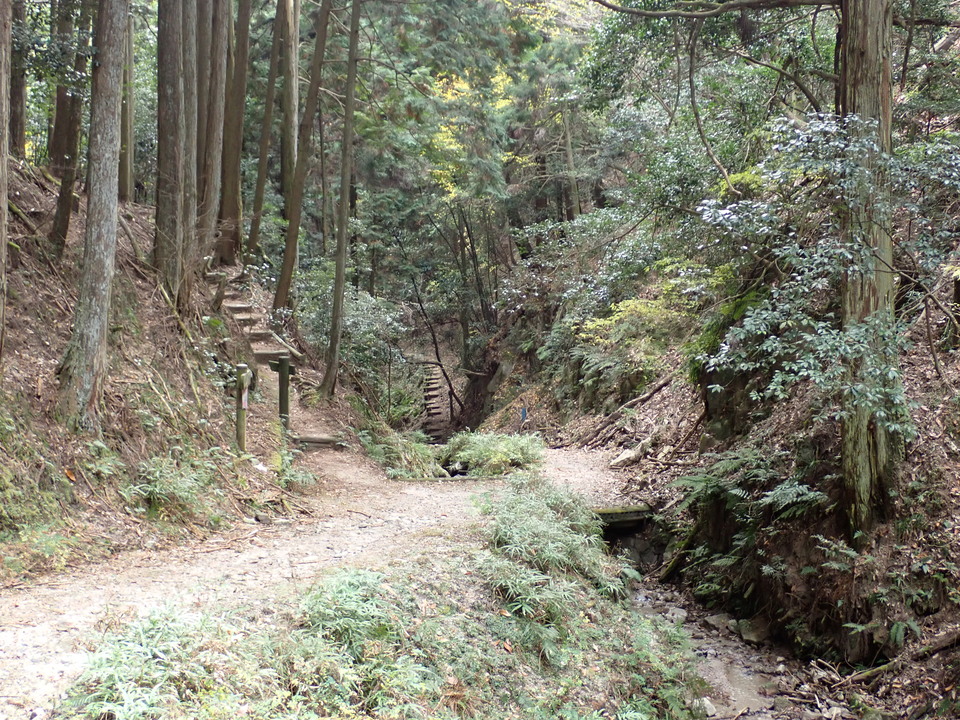PB297531_mid.jpg