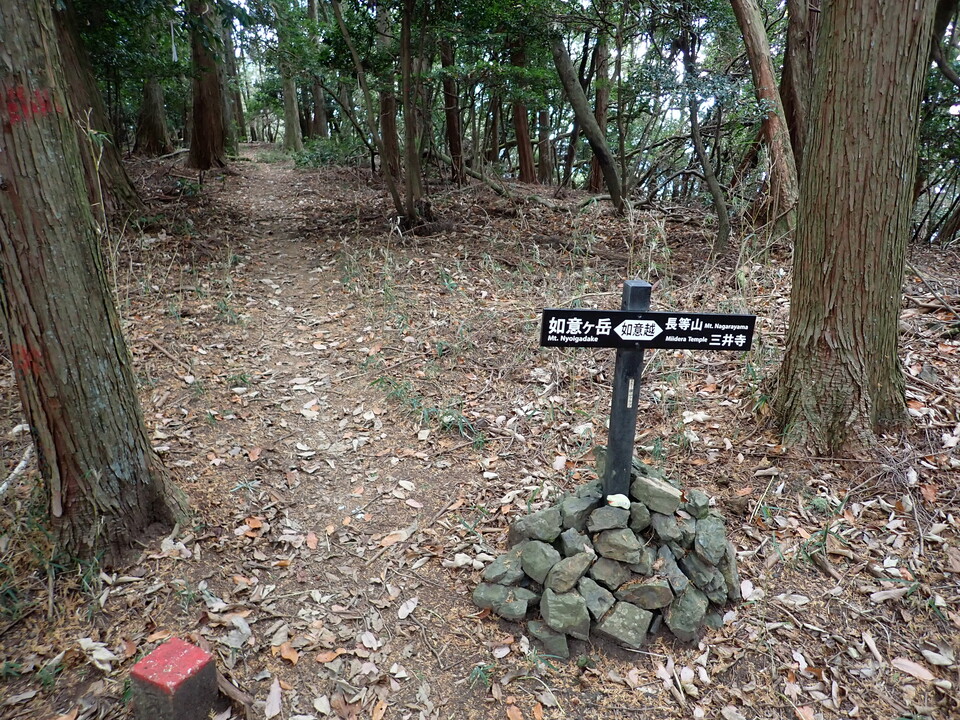PB297582_mid.jpg
