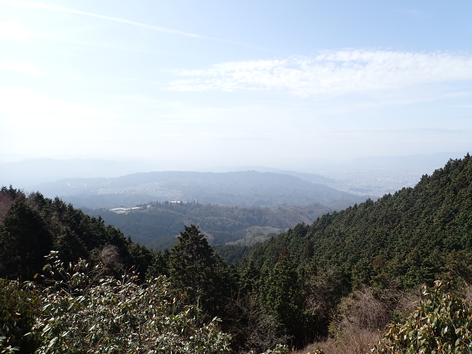 P3201738_mid.jpg