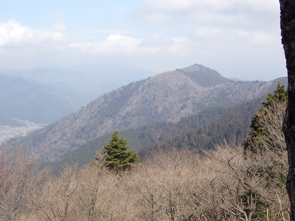 P3201747_mid.jpg