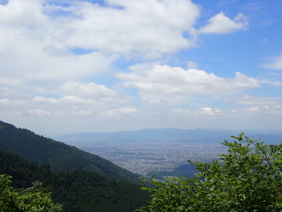 P6202033_mid.jpg