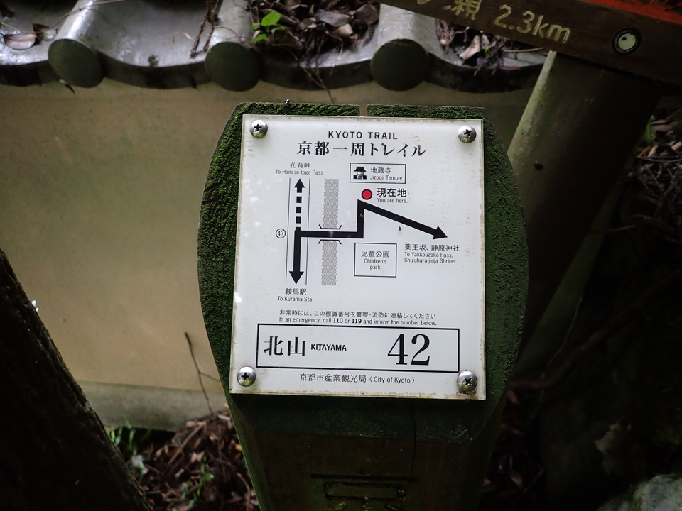 P6202056_mid.jpg
