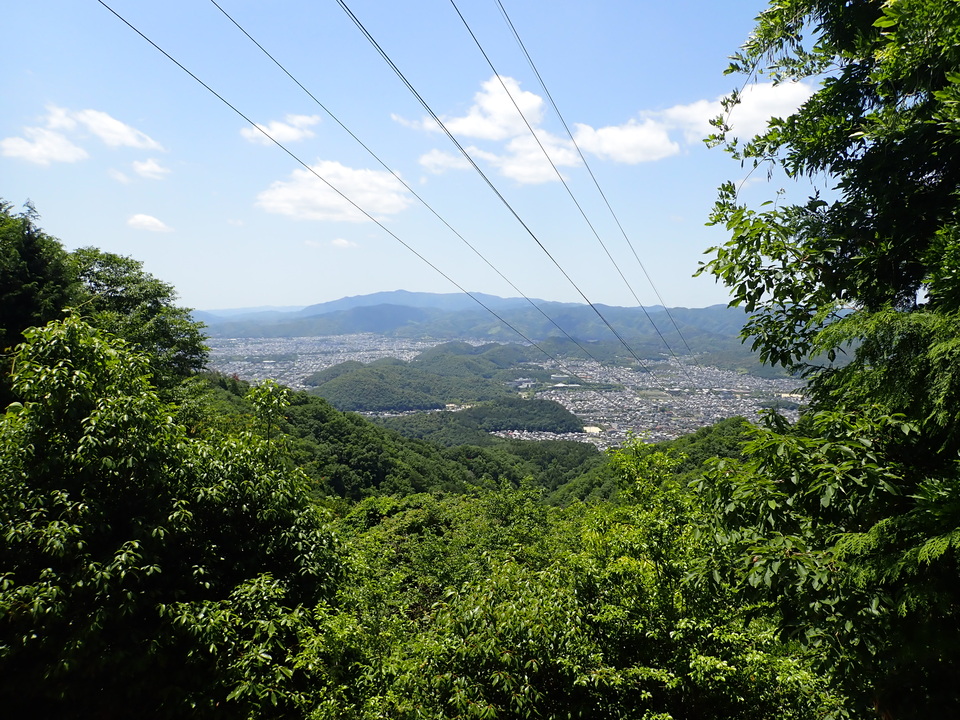 P6046983_mid.jpg