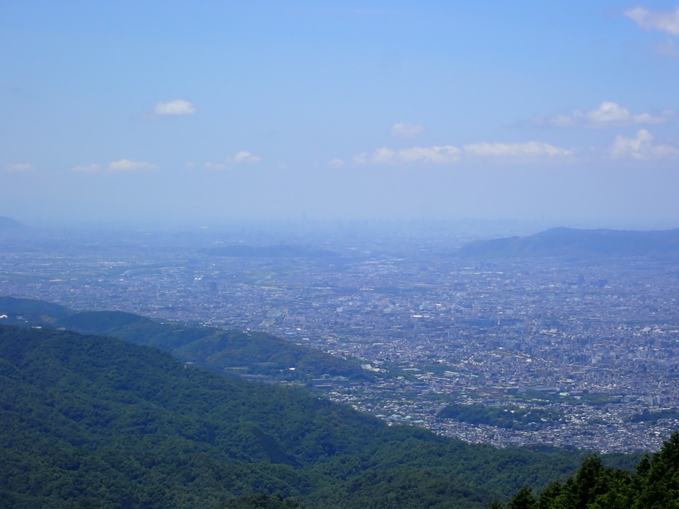 P6127054_mid.jpg