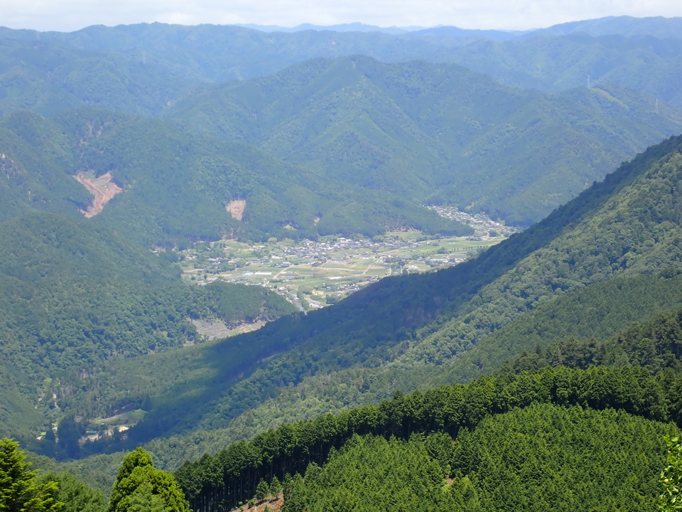 P6127061_mid.jpg