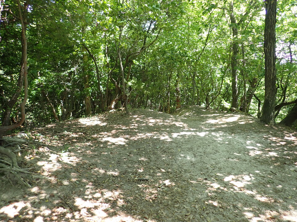 P6127088_mid.jpg