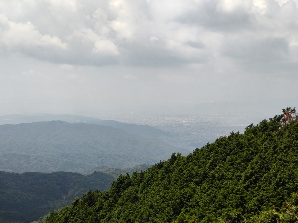 DSC_2881_mid.jpg