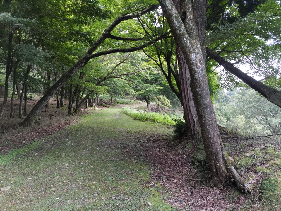 DSC_2886_mid.jpg