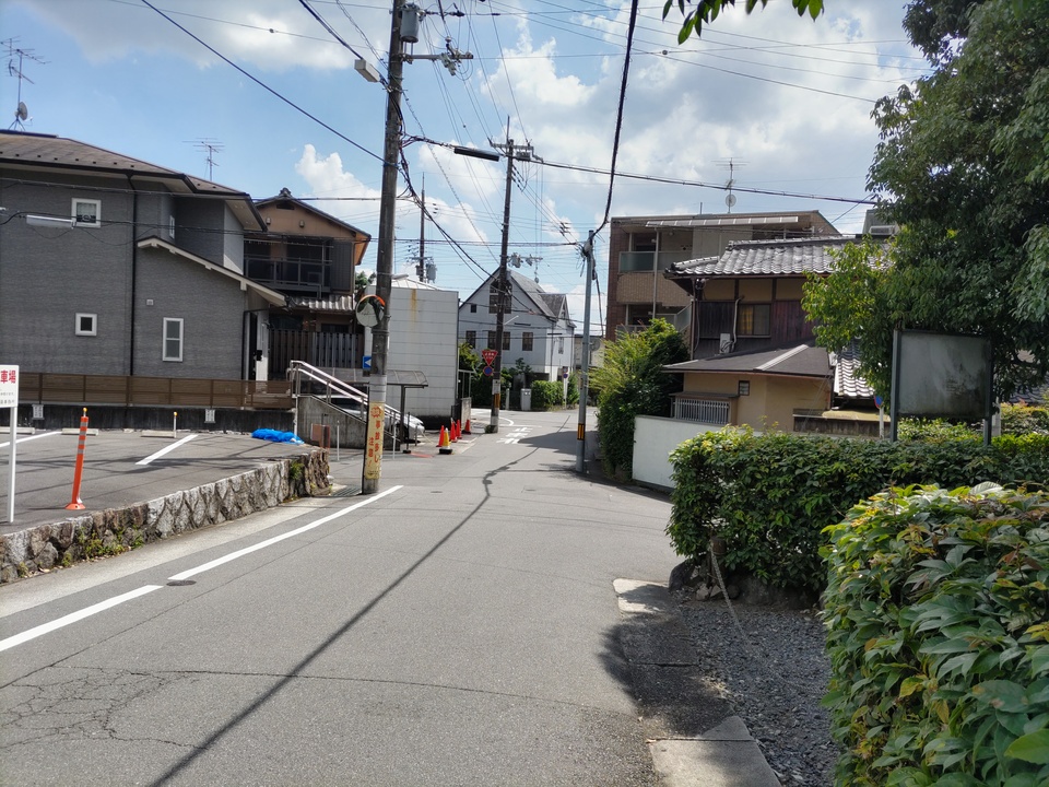 DSC_2891_mid.jpg