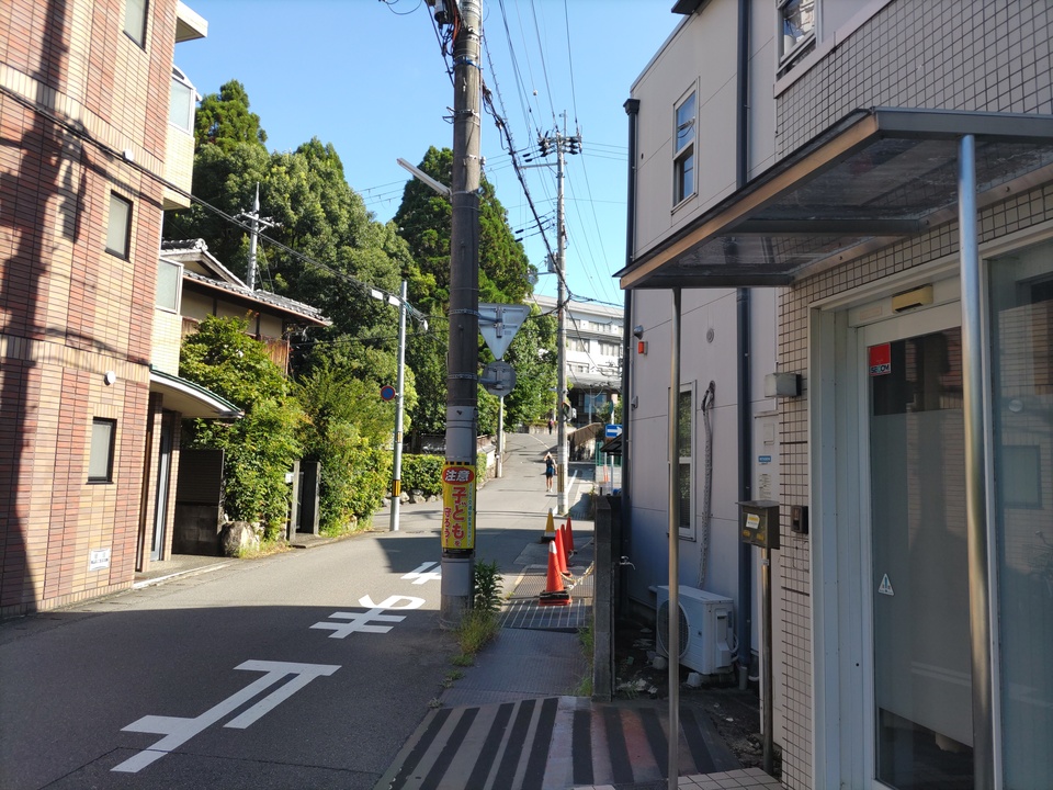 DSC_2987_mid.jpg