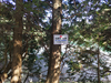 DSC_3235_thumb.png