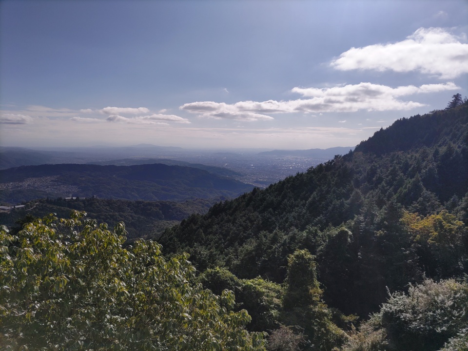 DSC_3237_mid.jpg