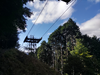 DSC_3259_thumb.png