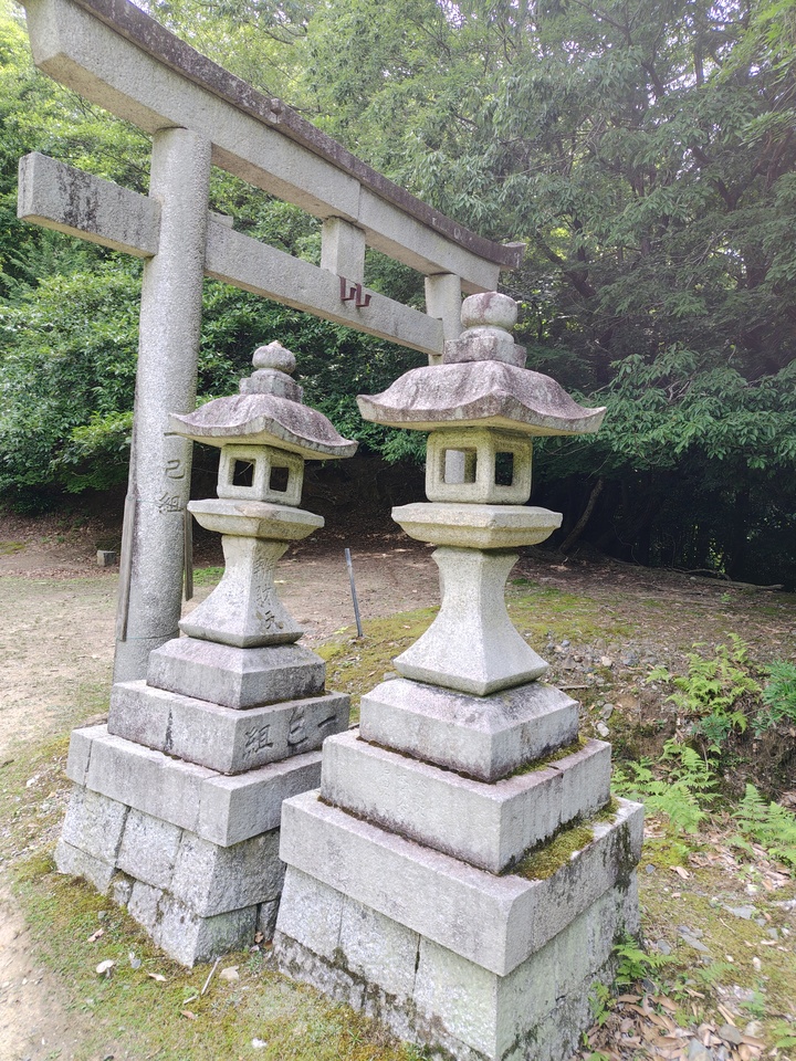 260613091254427_mid.jpg