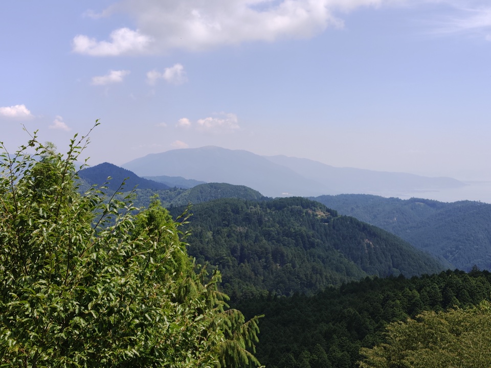 260613101308619_mid.jpg