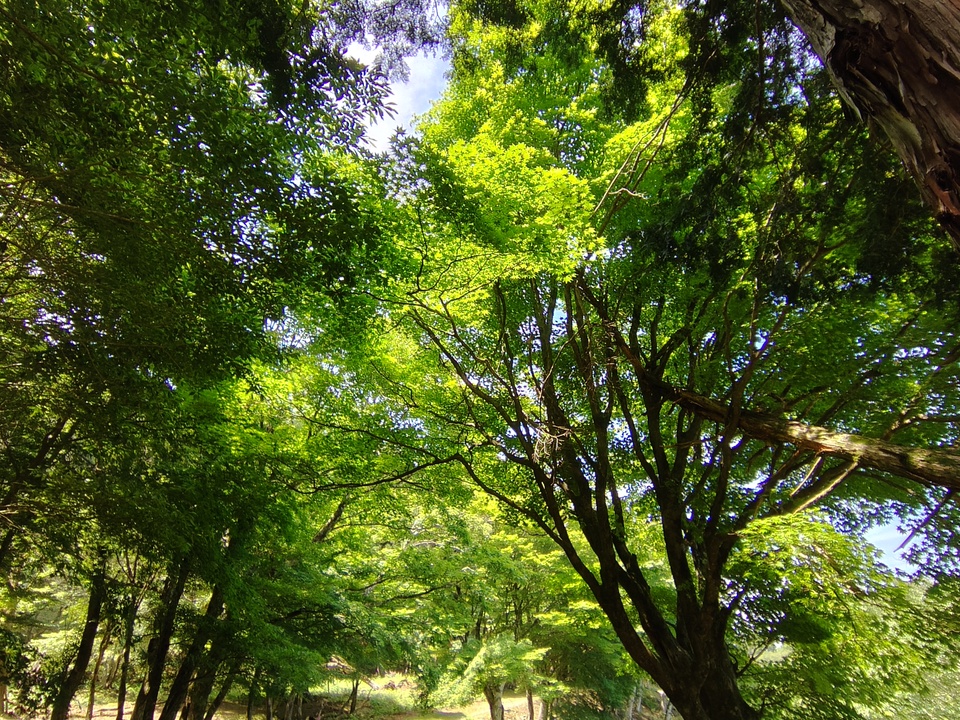 260613103813909_mid.jpg