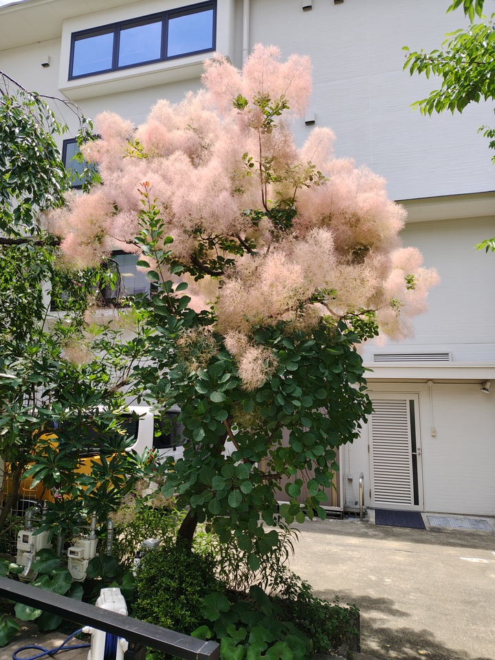 260613121523235_mid.jpg