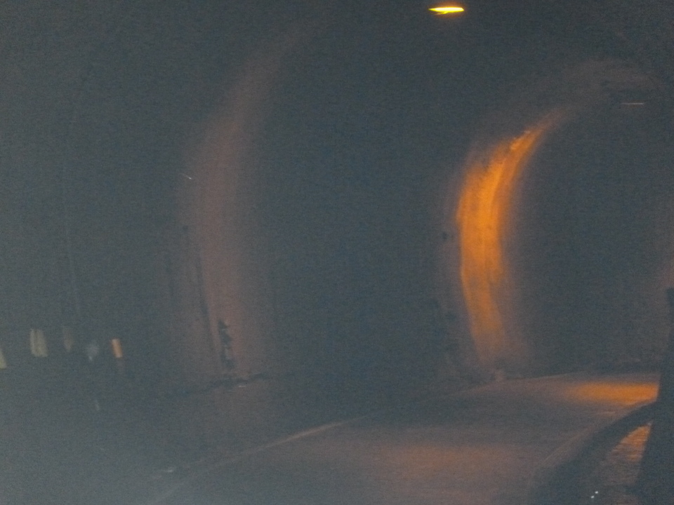 P1050061_mid.jpg