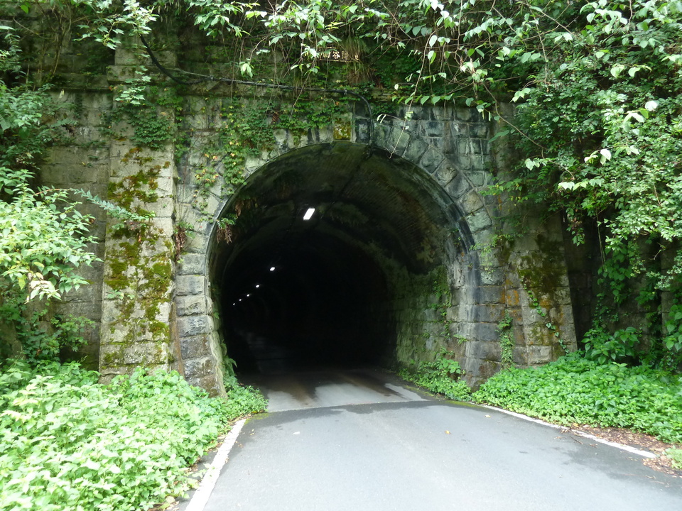 P1050116_mid.jpg