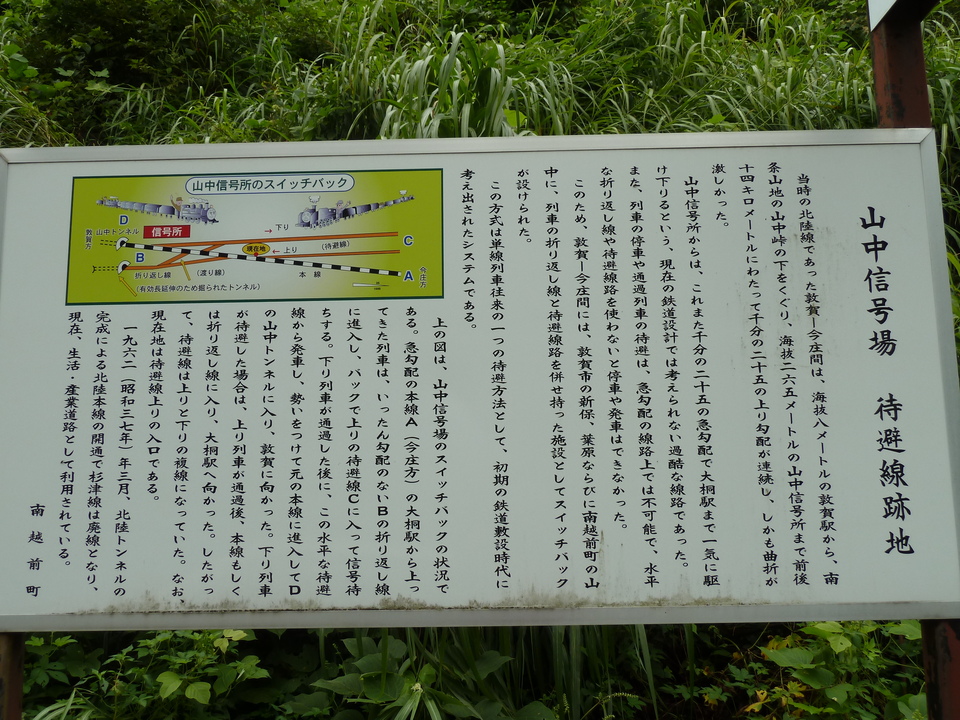 P1050146_mid.jpg