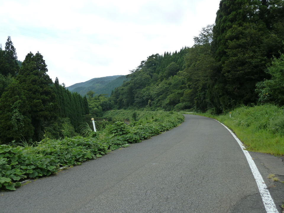 P1050154_mid.jpg