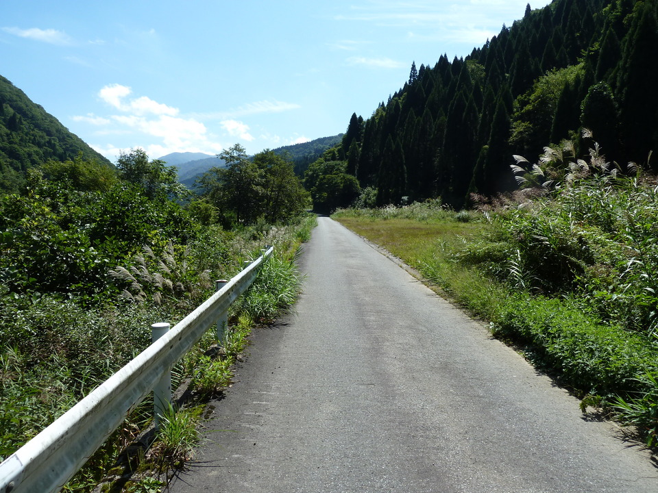 P1080276_mid.jpg