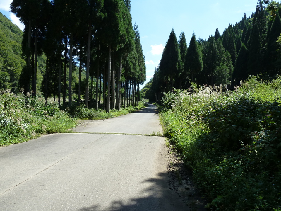 P1080280_mid.jpg