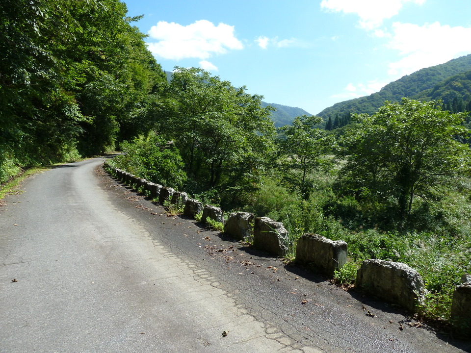 P1080301_mid.jpg