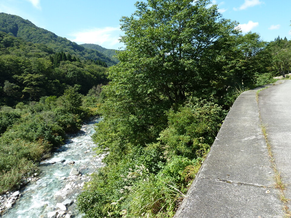 P1080307_mid.jpg