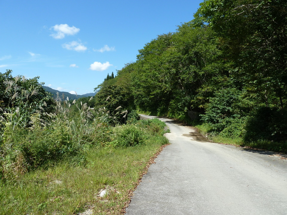 P1080309_mid.jpg