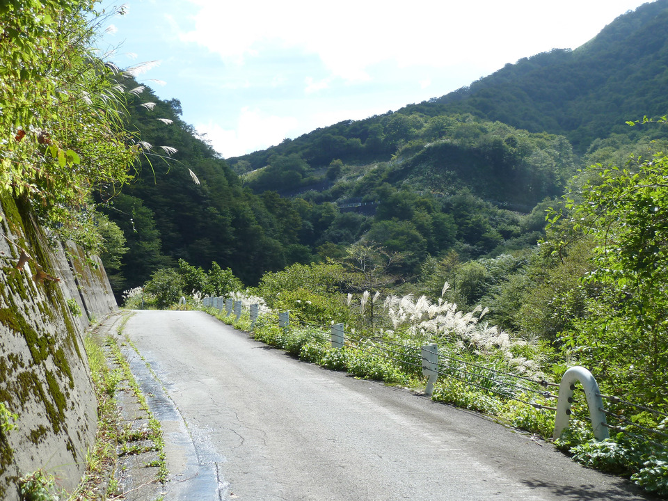 P1080328_mid.jpg