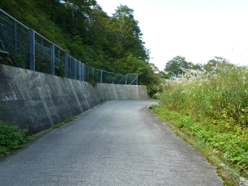 P1080343_mid.jpg