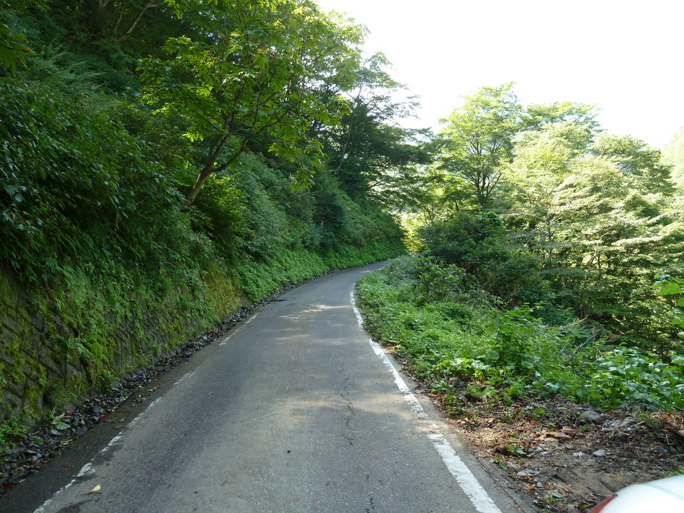 P1080399_mid.jpg
