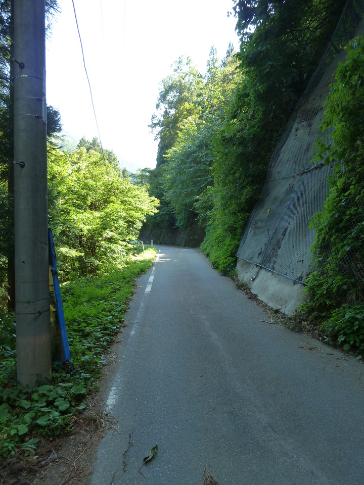 P1080451_mid.jpg