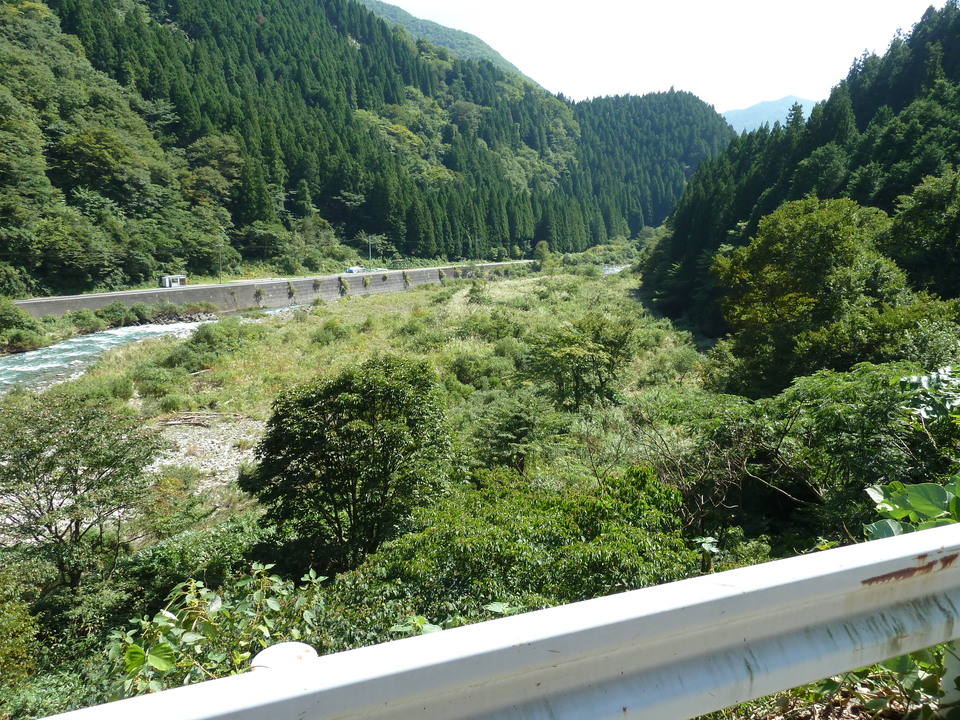 P1080453_mid.jpg