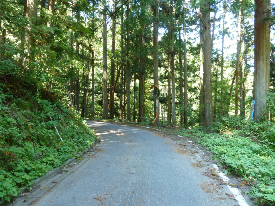 P1080460_mid.jpg